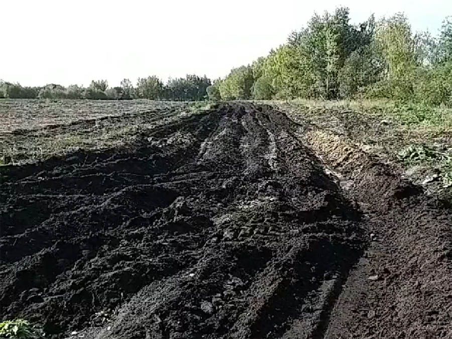 ������ �������, ������ ����, ������ ������